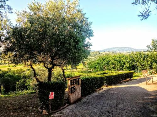 Apartamento Appartamento In Villa