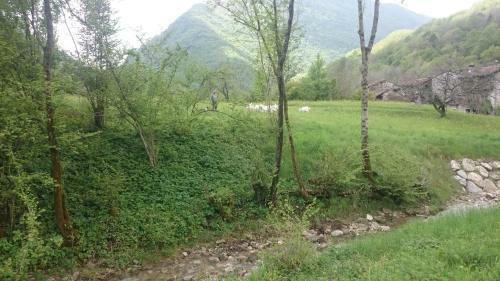 B&B In Fattoria