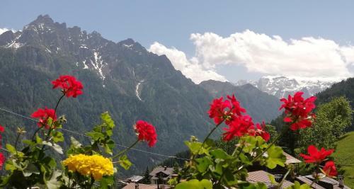Apartamento Vacanza In Maso