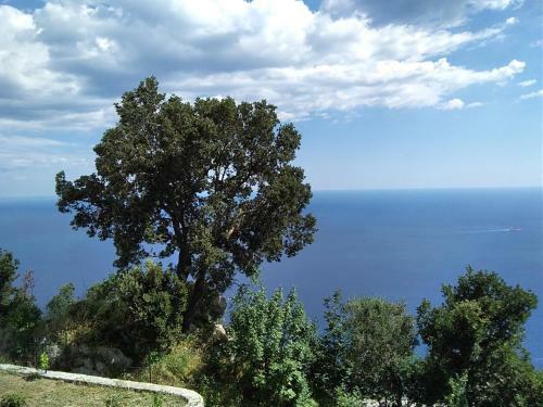 Apartamento Residence Pizzo Corvo