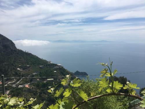 Villa Il Nido Del Falco