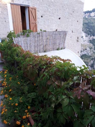 Villa Il Nido Del Falco