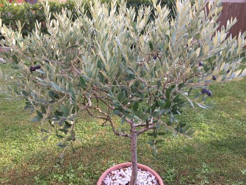 Apartamento Galleno House