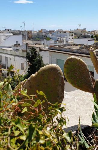 Hostal Castle XVIII Near Sea