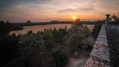 Bed & Breakfast Masseria Fracchicchi