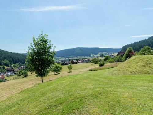 Quietly Situated, Bright Apartment In Baiersbronn With Private Balcony