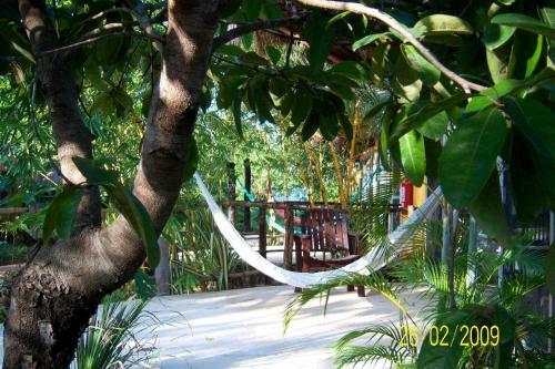 Hotel Don Diego De La Selva