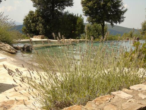 Apartamento Mommialla Il Baluardo