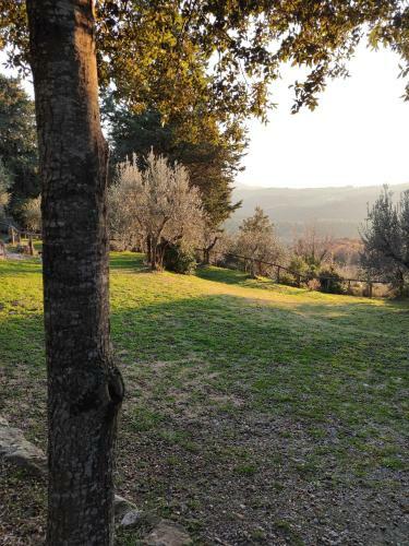Apartamento Mommialla Il Baluardo