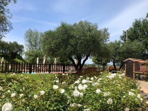 Apartamento Podere Boscone