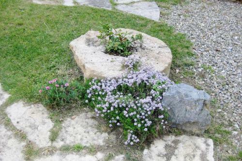 Apartamento Casa Il Corbezzolo In Borgo Storico