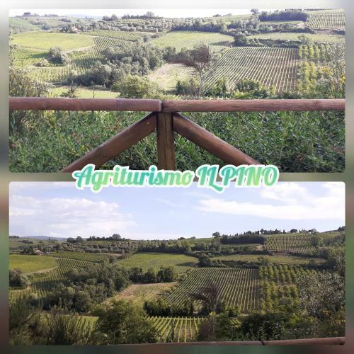 Apartamento Agriturismo Il Pino - Appartamento Querce