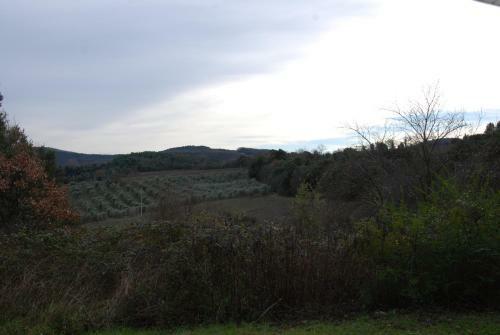Agroturismo Agriturismo San Vettore