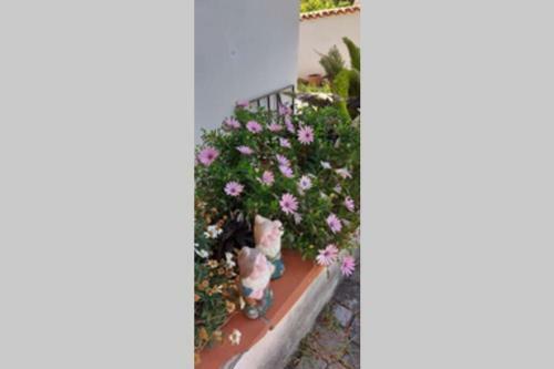 Apartamento Villa Marianna