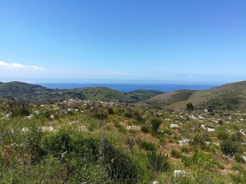 Locazione Turistica Caterina