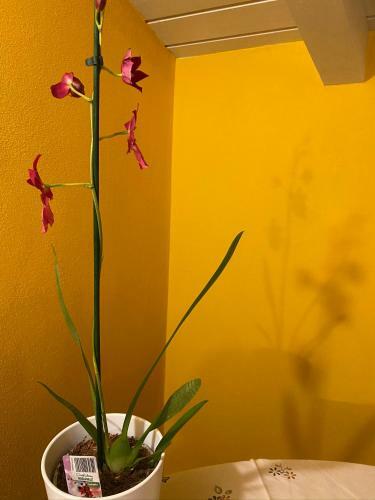 Apartamento La Casa Di Andrea