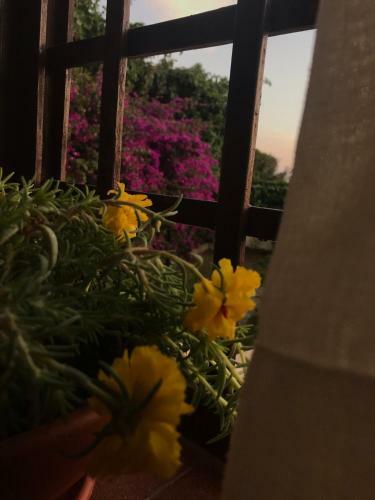 Casa Panoramica Vista Mare