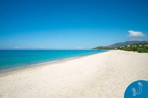 Villa Giorgio - Few Steps From The Beach