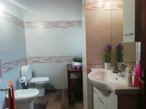 Apartamento Etna Mare Jonio