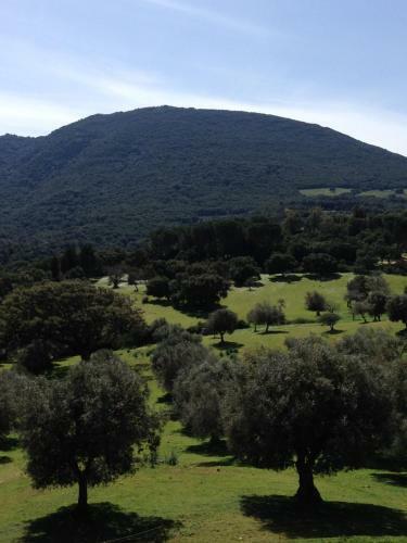 Agroturismo Agriturismo Is Conchisceddas