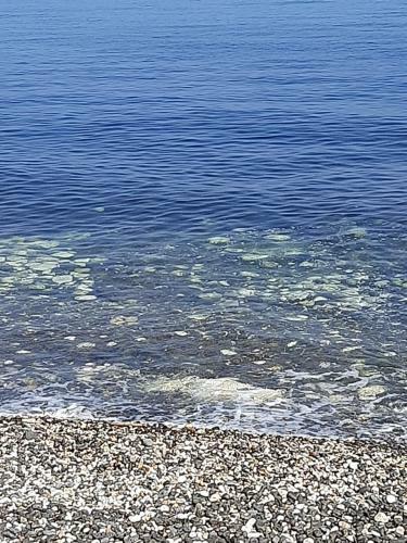 Apartamento Casa Vacanze "la Fenice Di Gi�"