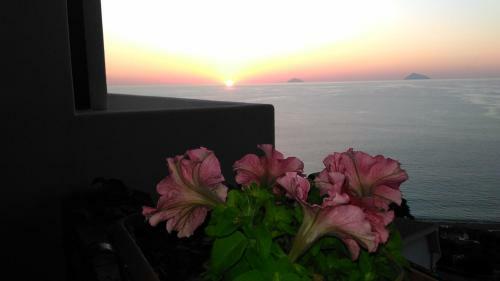 Residence Calav� Villa Rosa