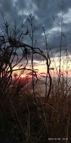 Dimora Tra Cielo E Mare A Gioiosa Marea