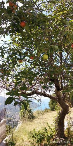 Dimora Tra Cielo E Mare A Gioiosa Marea