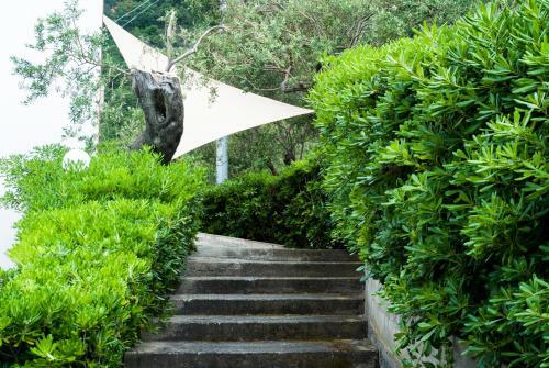 Apartamento Il Giardino Di Lucia