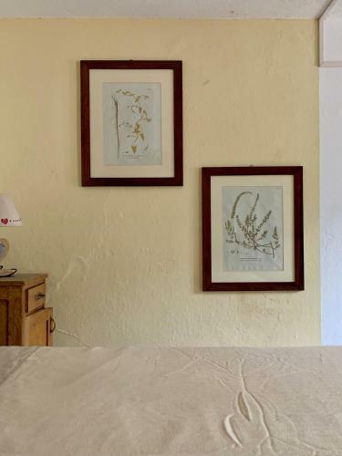Apartamento Casa Curti