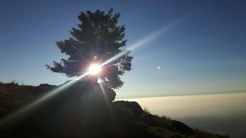 B&B La Coccinella Biologico