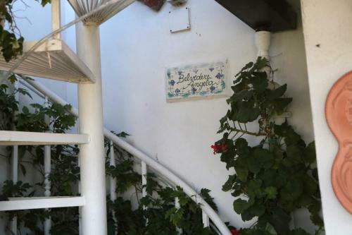 Casa Angelina