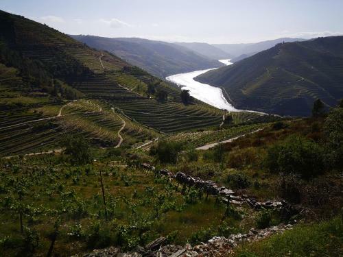 Villa Quinta Das Fontainhas - Douro Valley