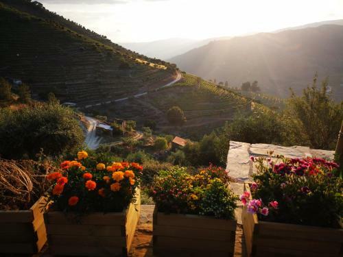 Villa Quinta Das Fontainhas - Douro Valley