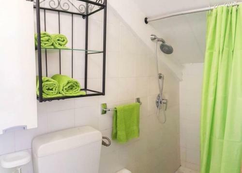 Apartamento Mansarda Fresia