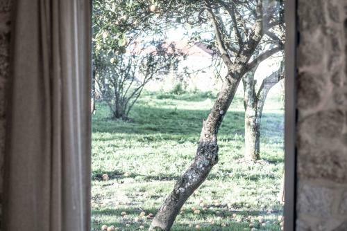 Quintal Country Houses