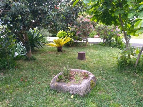 Hostal Casa Da Piedade, Vouzela