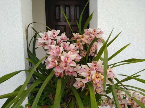 Hostal Casa Da Piedade, Vouzela