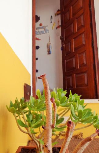 Casa Do Tanque Amarelo By Stay In Alentejo