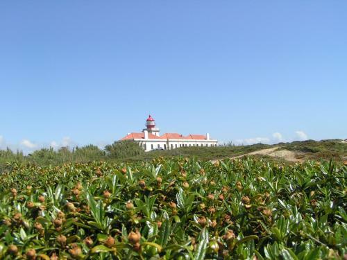 Hostal Blue Guide