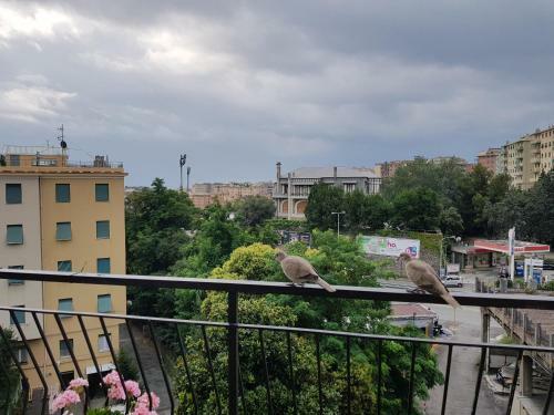 Apartamento Casa Anastasia