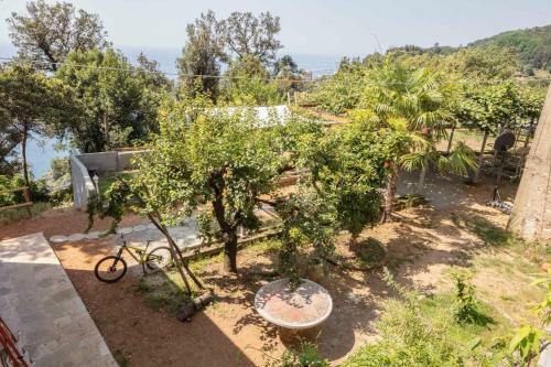 La Brigna B&B Il Bosco Sul Mare