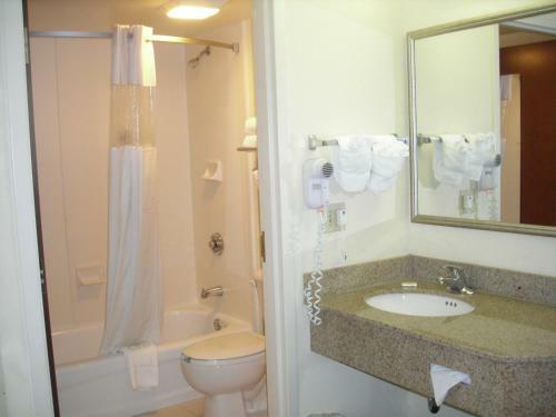 Hotel Comfort Suites - Weston
