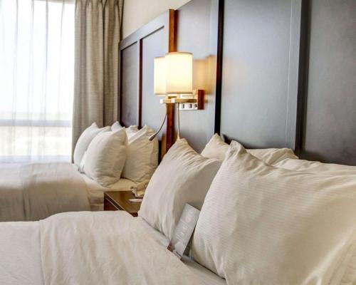 Hotel Comfort Suites - Weston