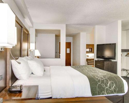 Hotel Comfort Suites - Weston