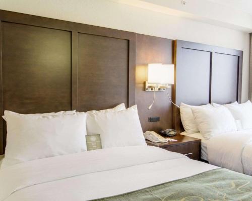Hotel Comfort Suites - Weston