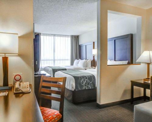 Hotel Comfort Suites - Weston