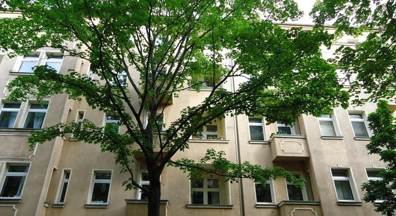Apartments Friedrich & Hain