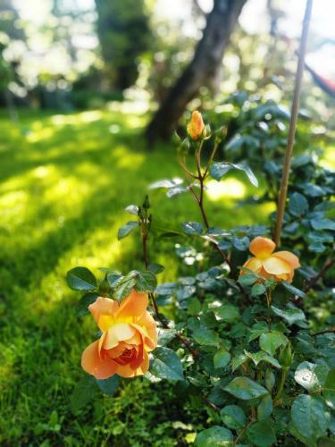 Apartamento Romantic Garden Sea View Nervi