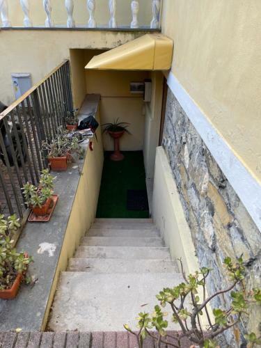 Celeste Apartment